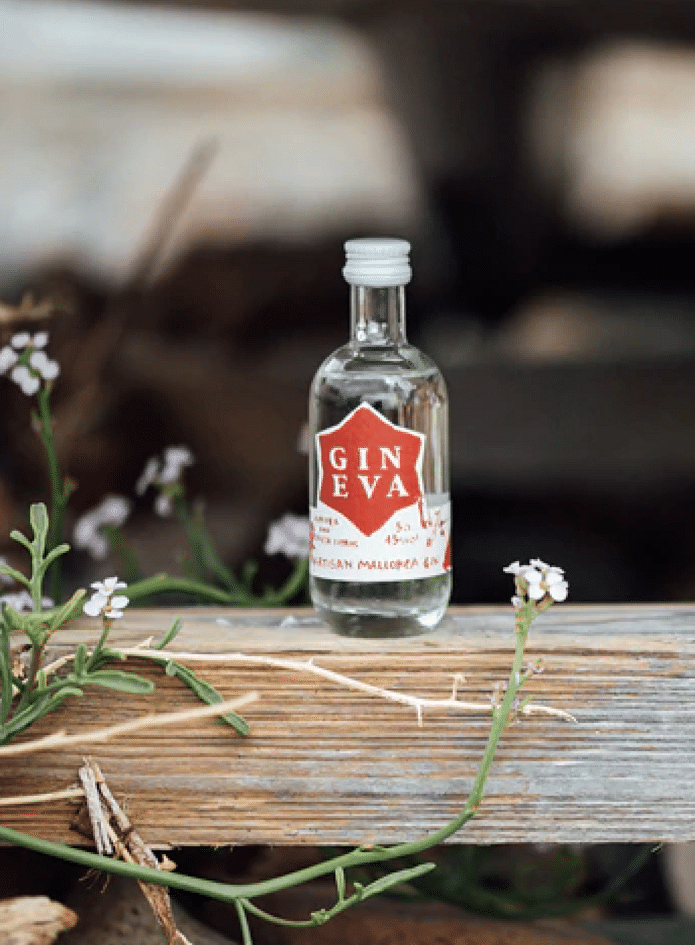 Gin Eva Klopfer